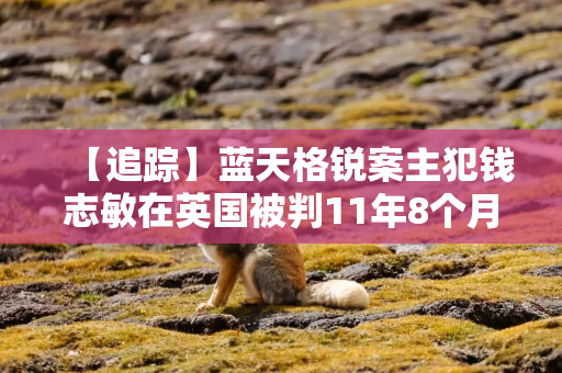 【追踪】蓝天格锐案主犯钱志敏在英国被判11年8个月监禁，此前已承认通过比特币洗钱