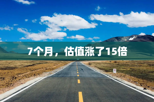 7个月，估值涨了15倍