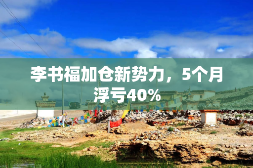 李书福加仓新势力，5个月浮亏40%