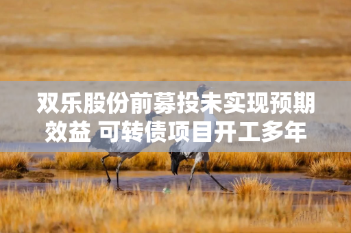 双乐股份前募投未实现预期效益 可转债项目开工多年进度不足五成