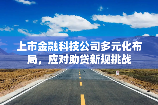上市金融科技公司多元化布局，应对助贷新规挑战