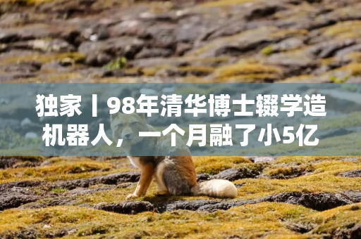 独家丨98年清华博士辍学造机器人，一个月融了小5亿