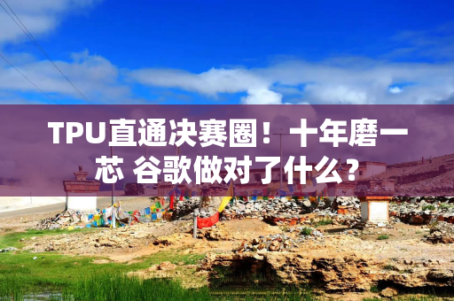 TPU直通决赛圈！十年磨一芯 谷歌做对了什么？