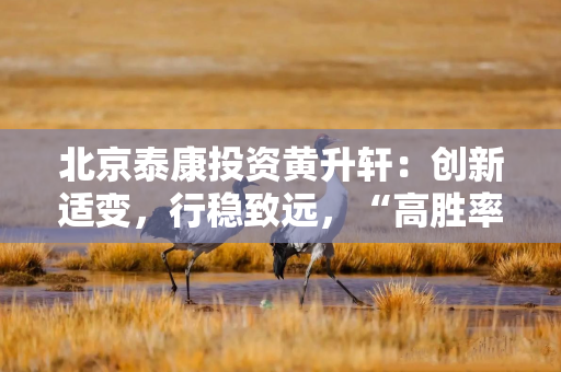 北京泰康投资黄升轩：创新适变，行稳致远，“高胜率”策略布局险资股权投资