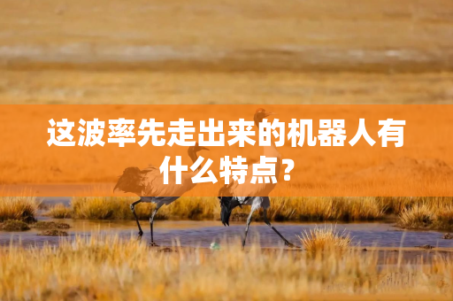 这波率先走出来的机器人有什么特点？