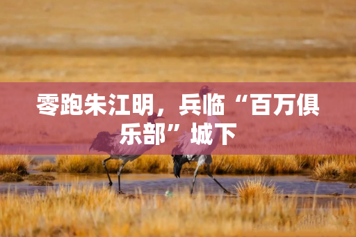 零跑朱江明，兵临“百万俱乐部”城下