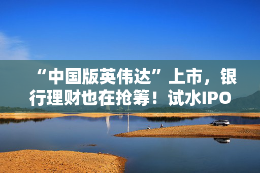 “中国版英伟达”上市，银行理财也在抢筹！试水IPO打新，难点在哪？