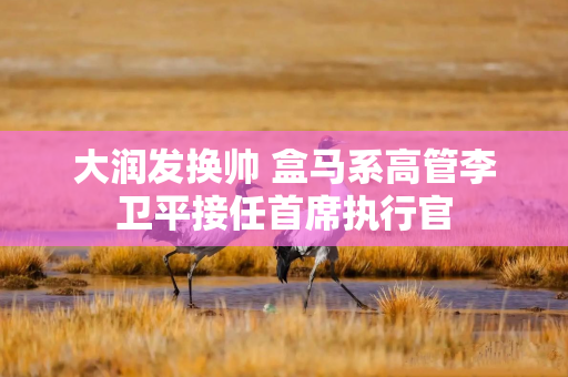 大润发换帅 盒马系高管李卫平接任首席执行官