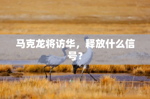 马克龙将访华，释放什么信号？