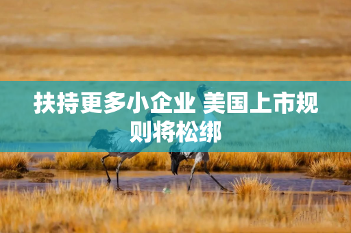 扶持更多小企业 美国上市规则将松绑