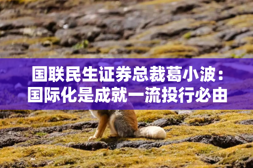 国联民生证券总裁葛小波：国际化是成就一流投行必由之路