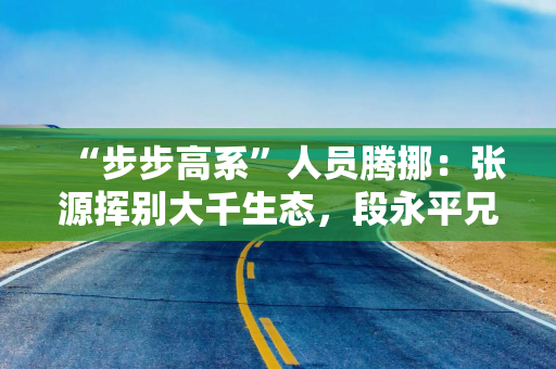 “步步高系”人员腾挪：张源挥别大千生态，段永平兄长代任董事长