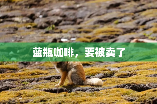 蓝瓶咖啡，要被卖了