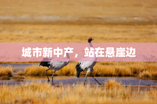 城市新中产，站在悬崖边