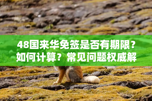 48国来华免签是否有期限？如何计算？常见问题权威解答