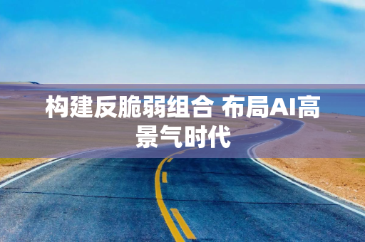 构建反脆弱组合 布局AI高景气时代 构建反脆弱组合 布局AI高景气时代