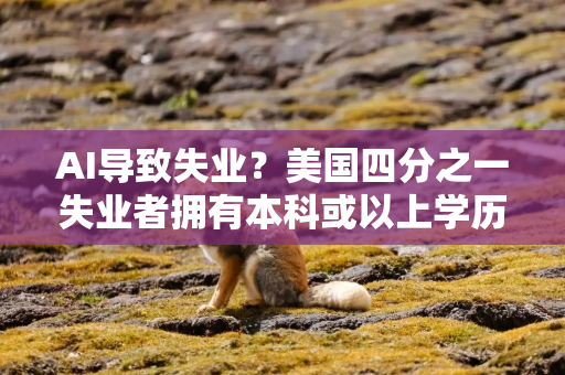 AI导致失业？美国四分之一失业者拥有本科或以上学历，占比创纪录