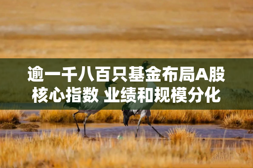 逾一千八百只基金布局A股核心指数 业绩和规模分化明显