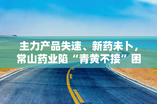 主力产品失速、新药未卜，常山药业陷“青黄不接”困局