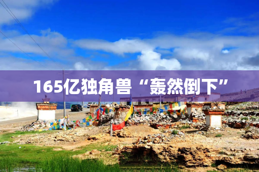 165亿独角兽“轰然倒下”