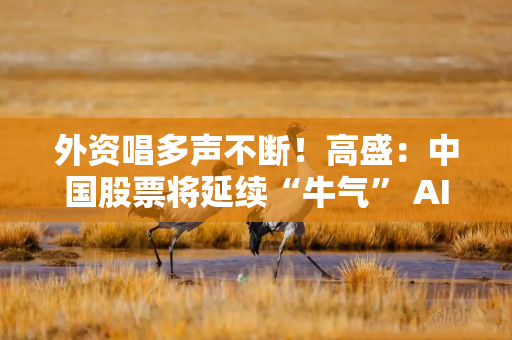 外资唱多声不断！高盛：中国股票将延续“牛气” AI股仍有上涨空间