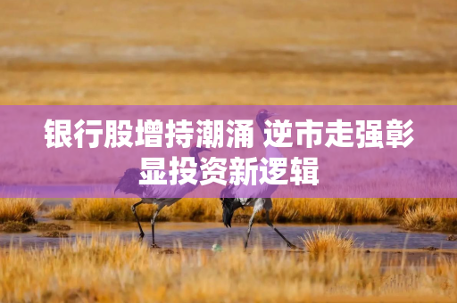银行股增持潮涌 逆市走强彰显投资新逻辑