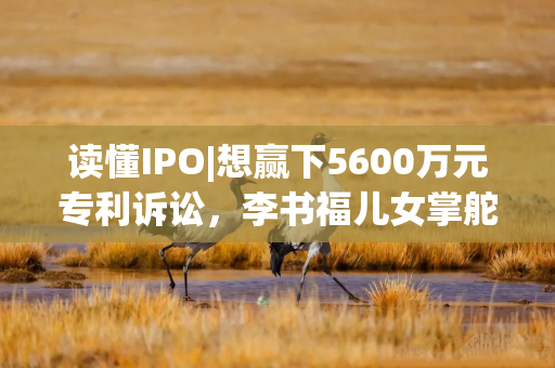 读懂IPO|想赢下5600万元专利诉讼，李书福儿女掌舵下的丰沃股份这次要靠自己