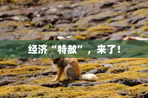 经济“特赦”，来了！