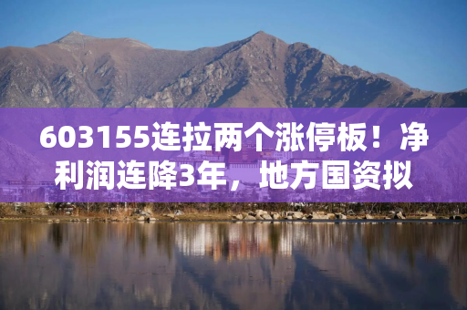 603155连拉两个涨停板！净利润连降3年，地方国资拟19.6亿入主