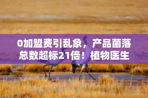 0加盟费引乱象，产品菌落总数超标21倍！植物医生的上市梦有点“悬”