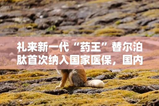 礼来新一代“药王”替尔泊肽首次纳入国家医保，国内GLP-1竞争格局或生变