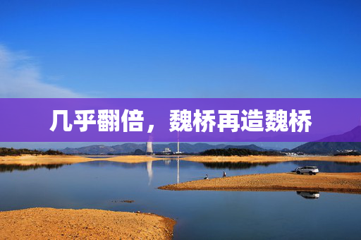 几乎翻倍，魏桥再造魏桥