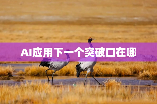 AI应用下一个突破口在哪