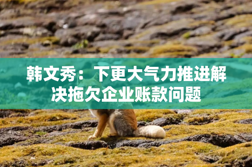 韩文秀:下更大气力推进解决拖欠企业账款问题 韩文秀:下更大气力推进解决拖欠企业账款问题