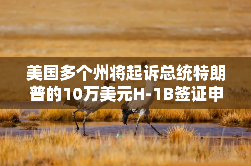 美国多个州将起诉总统特朗普的10万美元H-1B签证申请费政策