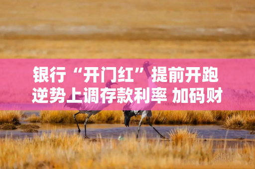 银行“开门红”提前开跑 逆势上调存款利率 加码财富管理