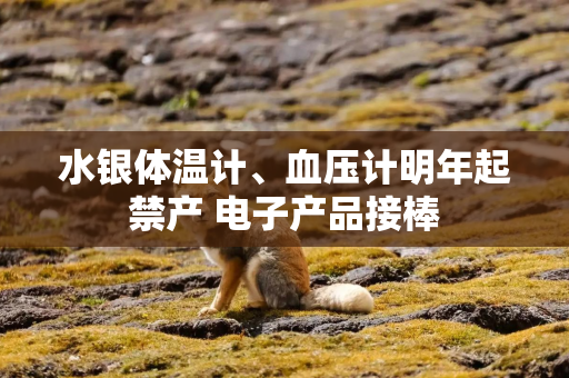 水银体温计、血压计明年起禁产 电子产品接棒