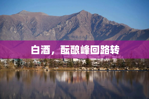 白酒，酝酿峰回路转