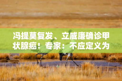 冯提莫复发、立威廉确诊甲状腺癌！专家：不应定义为“懒癌”，中青年女性是主要发病人群