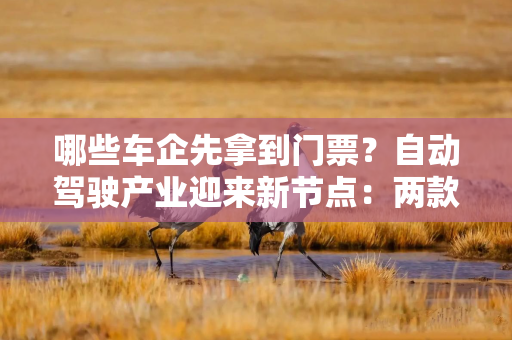 哪些车企先拿到门票？自动驾驶产业迎来新节点：两款L3级自动驾驶汽车获准上路试点