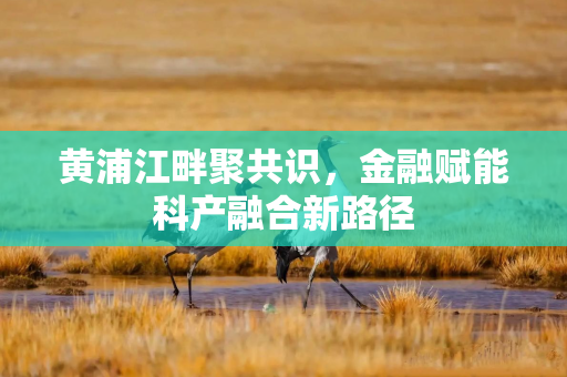 黄浦江畔聚共识，金融赋能科产融合新路径
