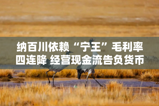 纳百川依赖“宁王”毛利率四连降 经营现金流告负货币资金仅1.88亿