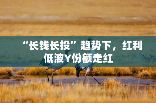 “长钱长投”趋势下，红利低波Y份额走红