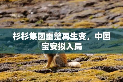 杉杉集团重整再生变，中国宝安拟入局