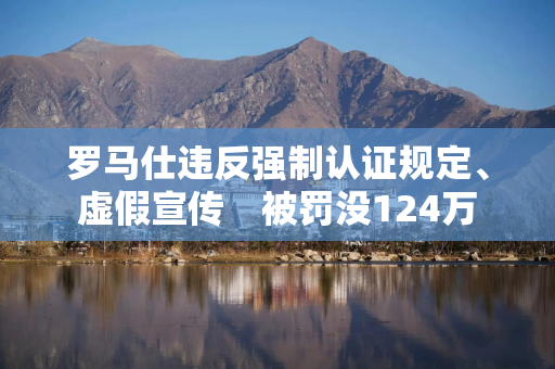 罗马仕违反强制认证规定、虚假宣传　被罚没124万