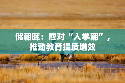 储朝晖：应对“入学潮”，推动教育提质增效
