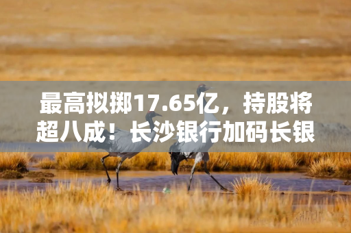 最高拟掷17.65亿，持股将超八成！长沙银行加码长银五八消金，通程控股要套现
