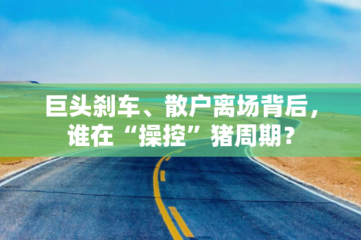 巨头刹车、散户离场背后，谁在“操控”猪周期？