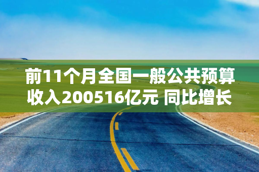 前11个月全国一般公共预算收入200516亿元 同比增长0.8%