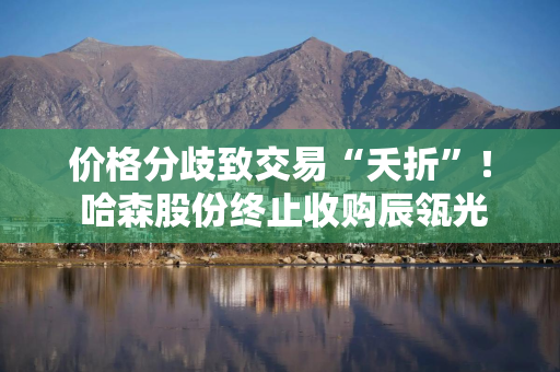 价格分歧致交易“夭折”！ 哈森股份终止收购辰瓴光学，鞋企跨界消费电子，此前已5年亏损